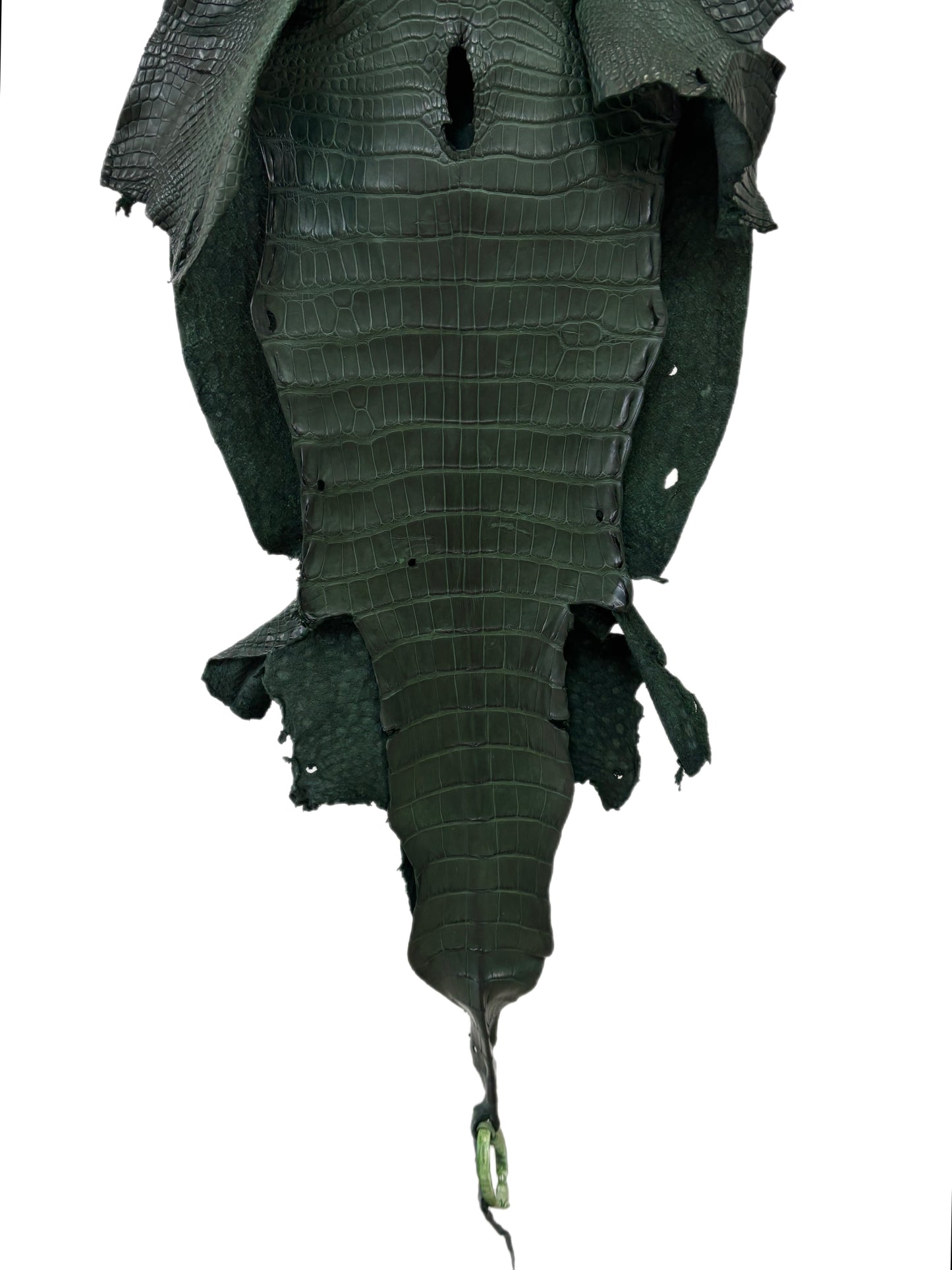 36 cm Grade 2/3 Forest Green Matte Wild American Alligator Leather - Tag: LA23-0003439