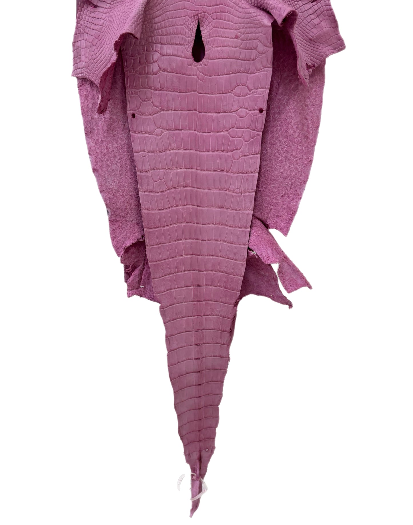 38 cm Grade 4/5 Cotton Candy Matte Wild American Alligator Leather - Tag: LA23-0030275