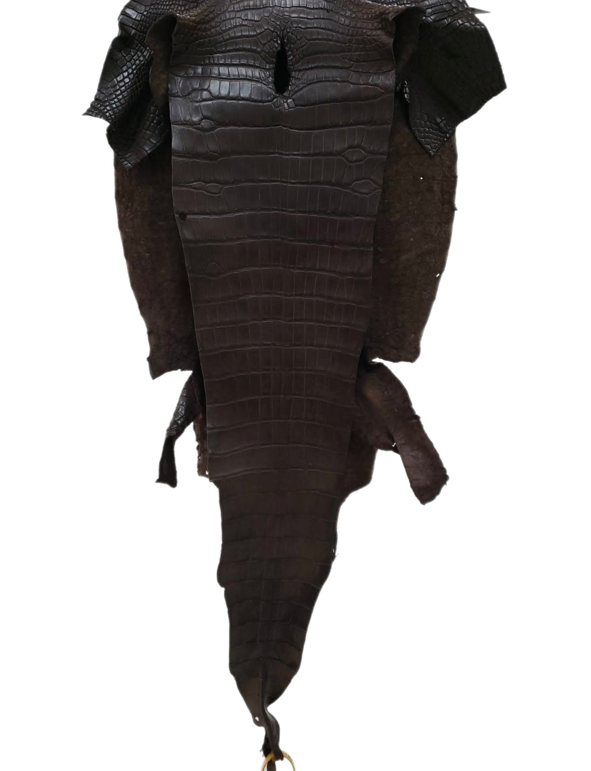 35 cm Grade 3/4 Kralle Brown Matte Wild American Alligator Leather - Tag: LA23-0050734