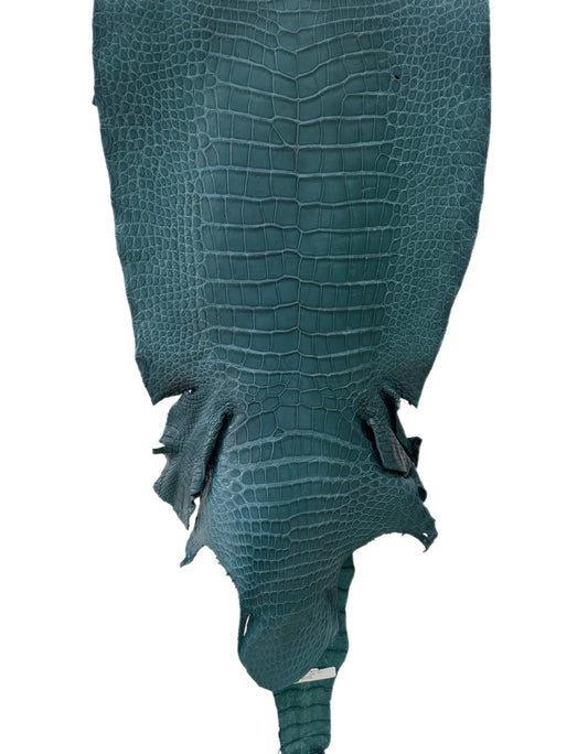 44 cm Grade 3/4 Teal Matte Wild American Alligator Leather - Tag: LA23-0002845