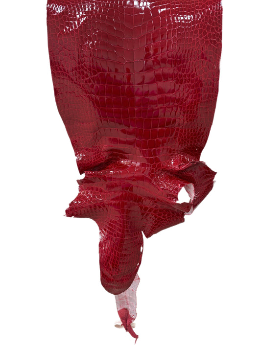 35 cm Grade 2/3 Red Glazed Wild American Alligator Leather - Tag: LA23-0003510