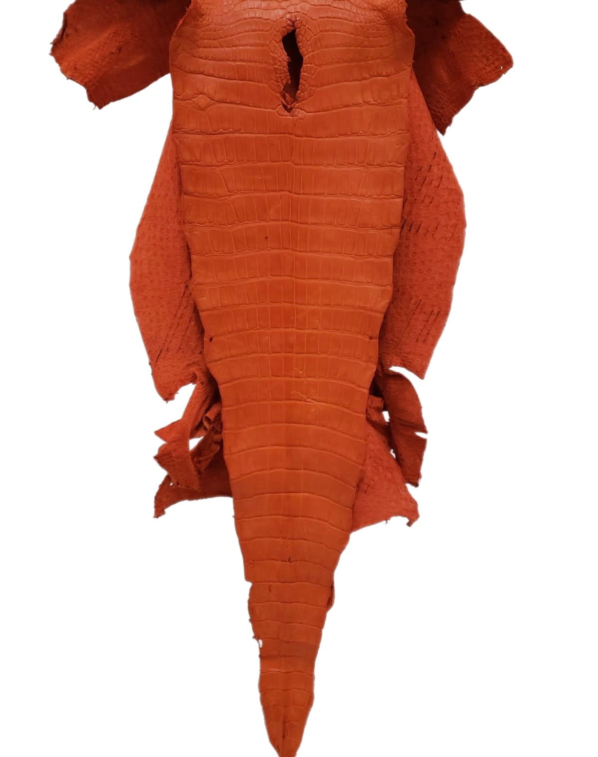 43 cm Grade 2/3 Orange Primavera Matte Wild American Alligator Leather - Tag: LA23-0013837