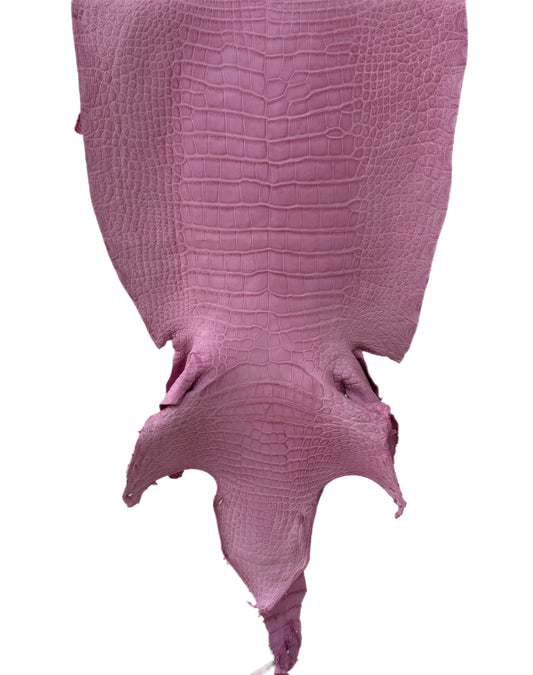 45 cm Grade 3/4 Cotton Candy Matte Wild American Alligator Leather - Tag: LA23-0040554