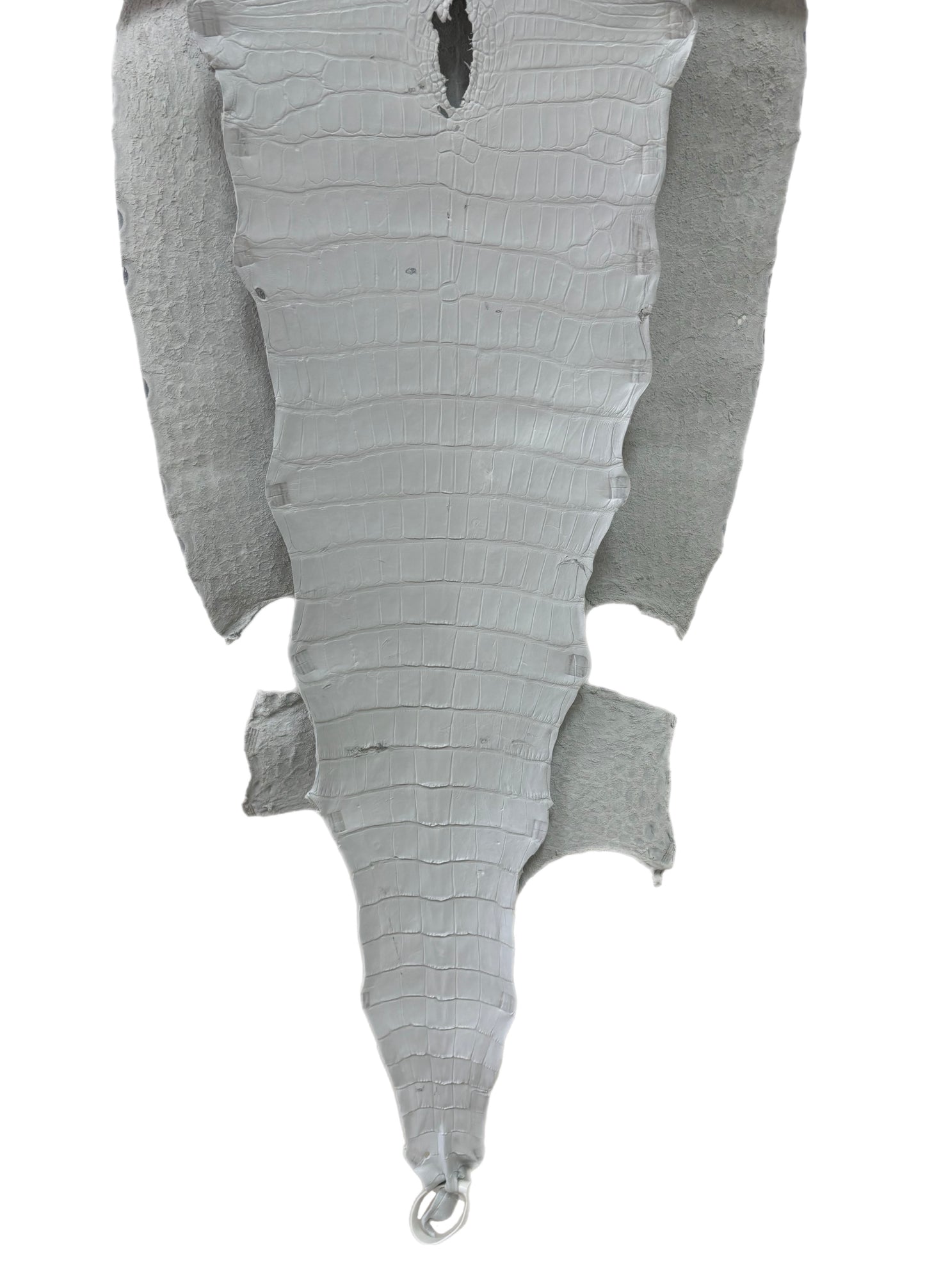 43 cm Grade 3/4 White Matte Wild American Alligator Leather - Tag: LA23-0040310