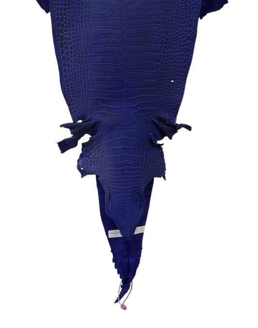 28 cm Grade 3/4 Cobalt Blue Matte Farm-Raised American Alligator Leather - Tag: FL21-0024451