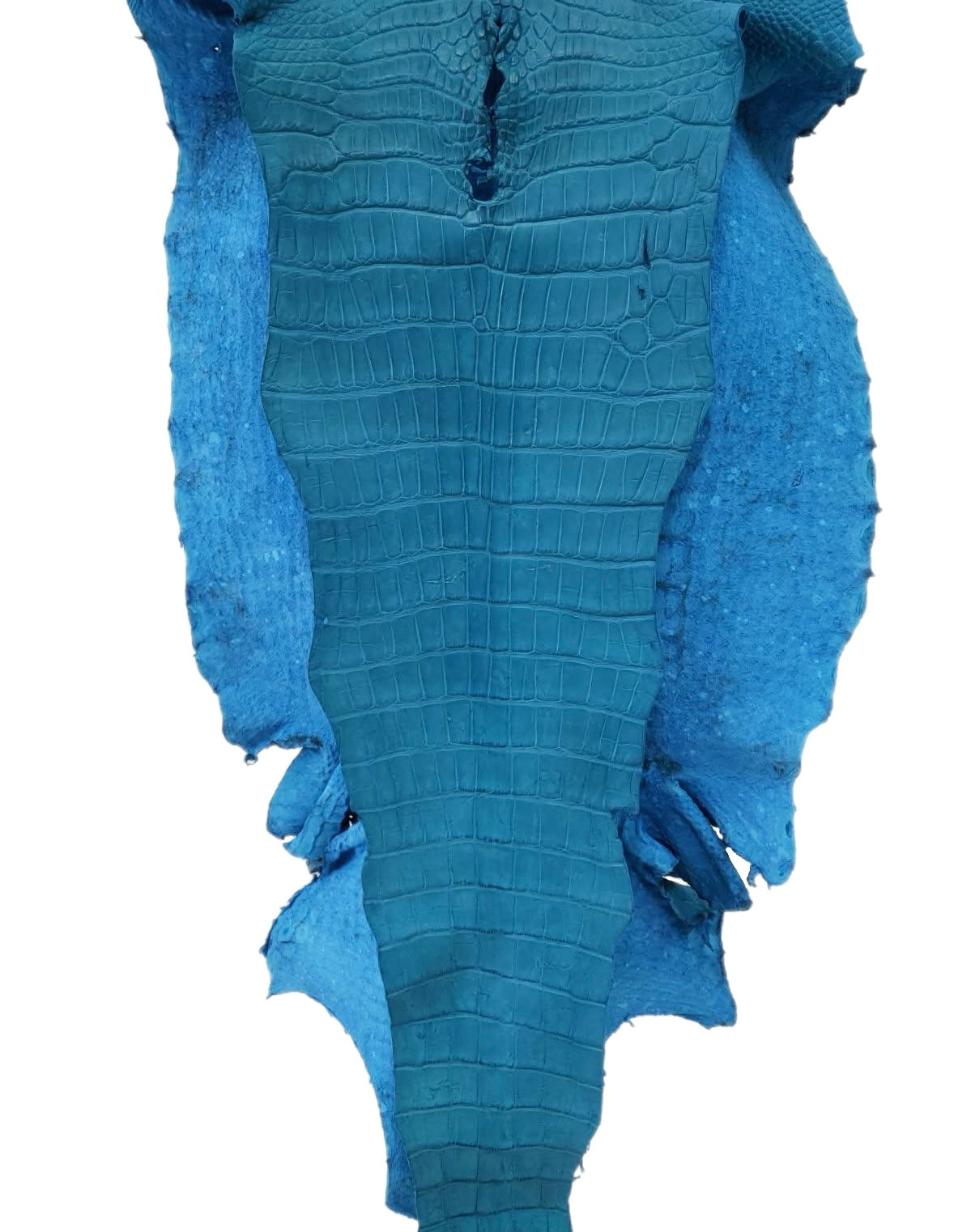 55 cm Grade 4/5 Ultramarine Matte Wild American Alligator Leather - Tag: LA23-0018241