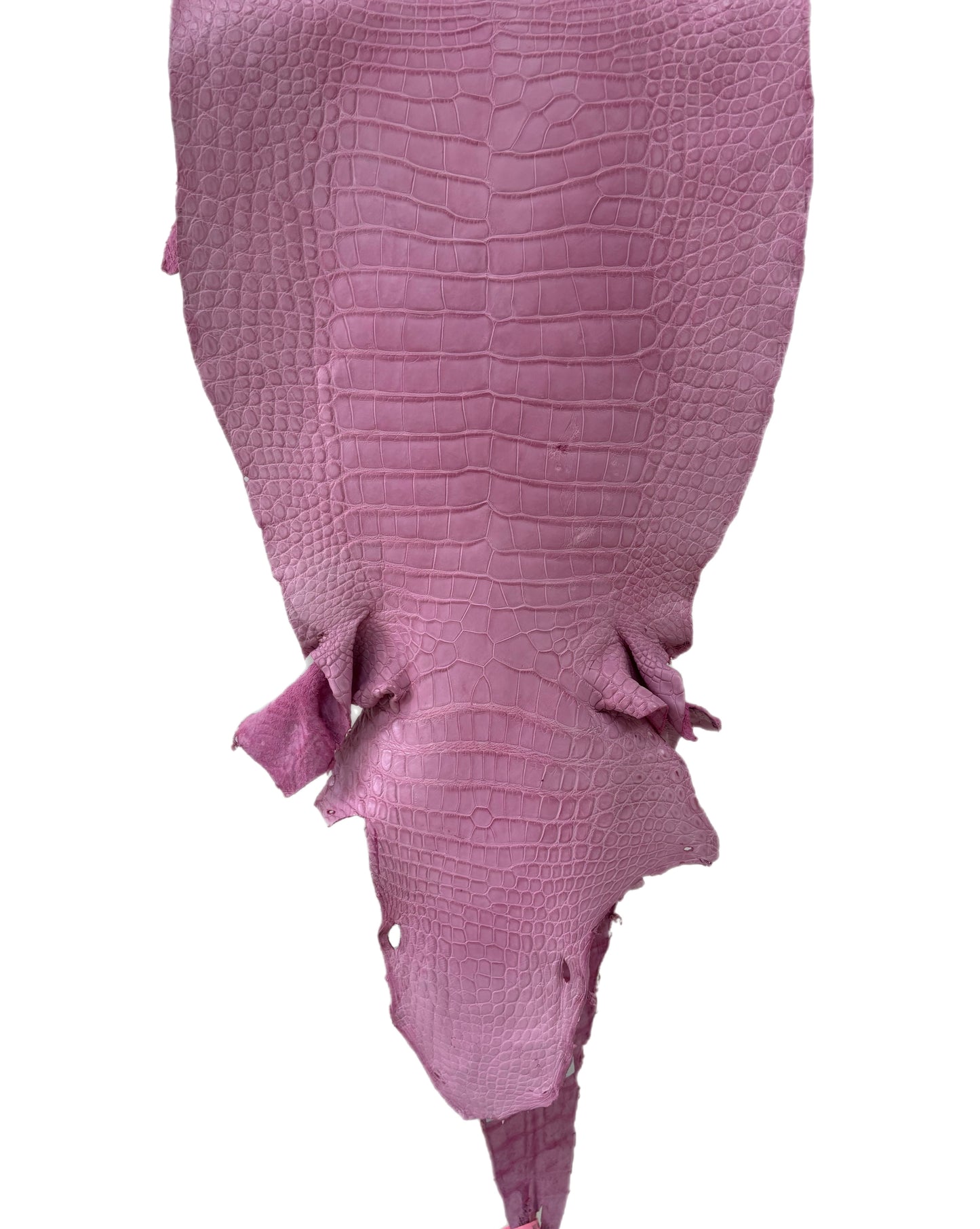 42 cm Grade 2/3 Cotton Candy Matte Wild American Alligator Leather - Tag: MS24-0000747
