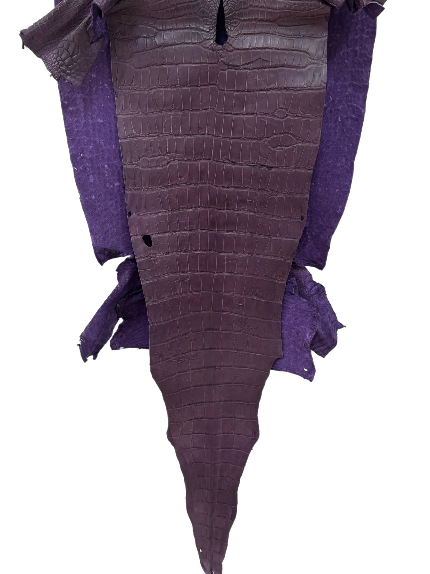 42 cm Grade 3/4 Aubergine Matte Wild American Alligator Leather - Tag: LA23-0049955