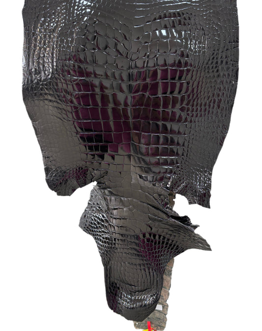 47 cm Grade 4/5 Black Glazed Wild American Alligator Leather - Tag: ITCC-0539890