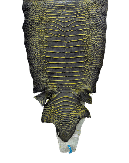 35 cm Grade 2/3 Voltage Matte Wild American Alligator Leather - Tag: ESRE-0050649