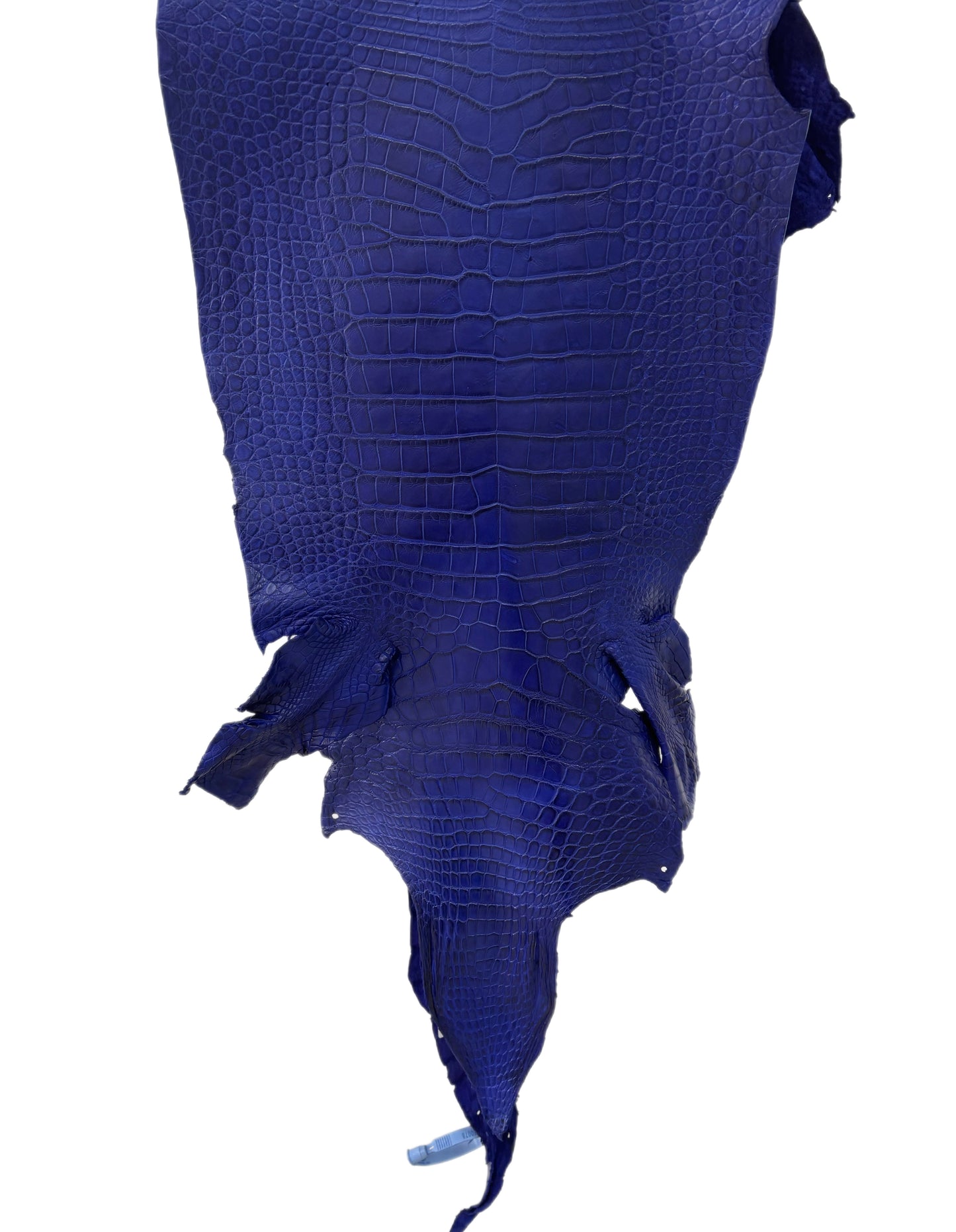 37 cm Grade 3/4 Cobalt Blue Matte Wild American Alligator Leather - Tag: LA23-0050078