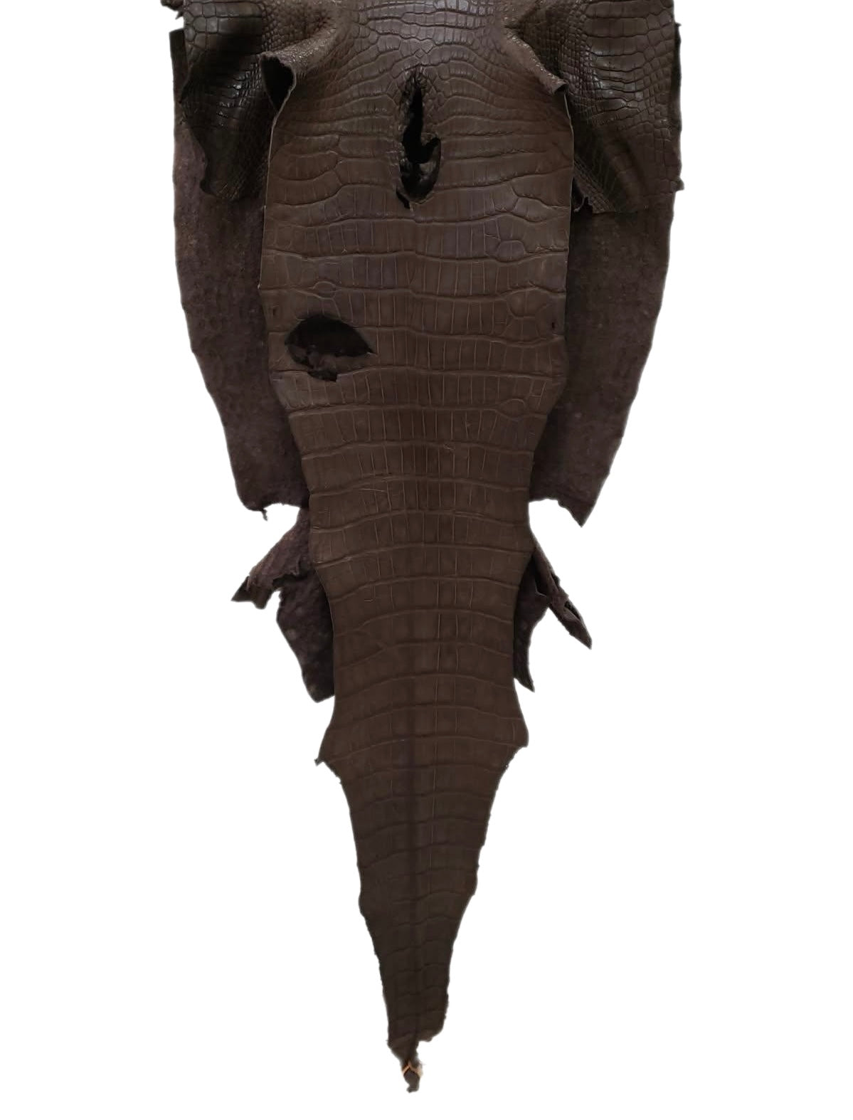 43 cm Grade 3/4 Miller Matte Wild American Alligator Leather - Tag: LA24-0005684