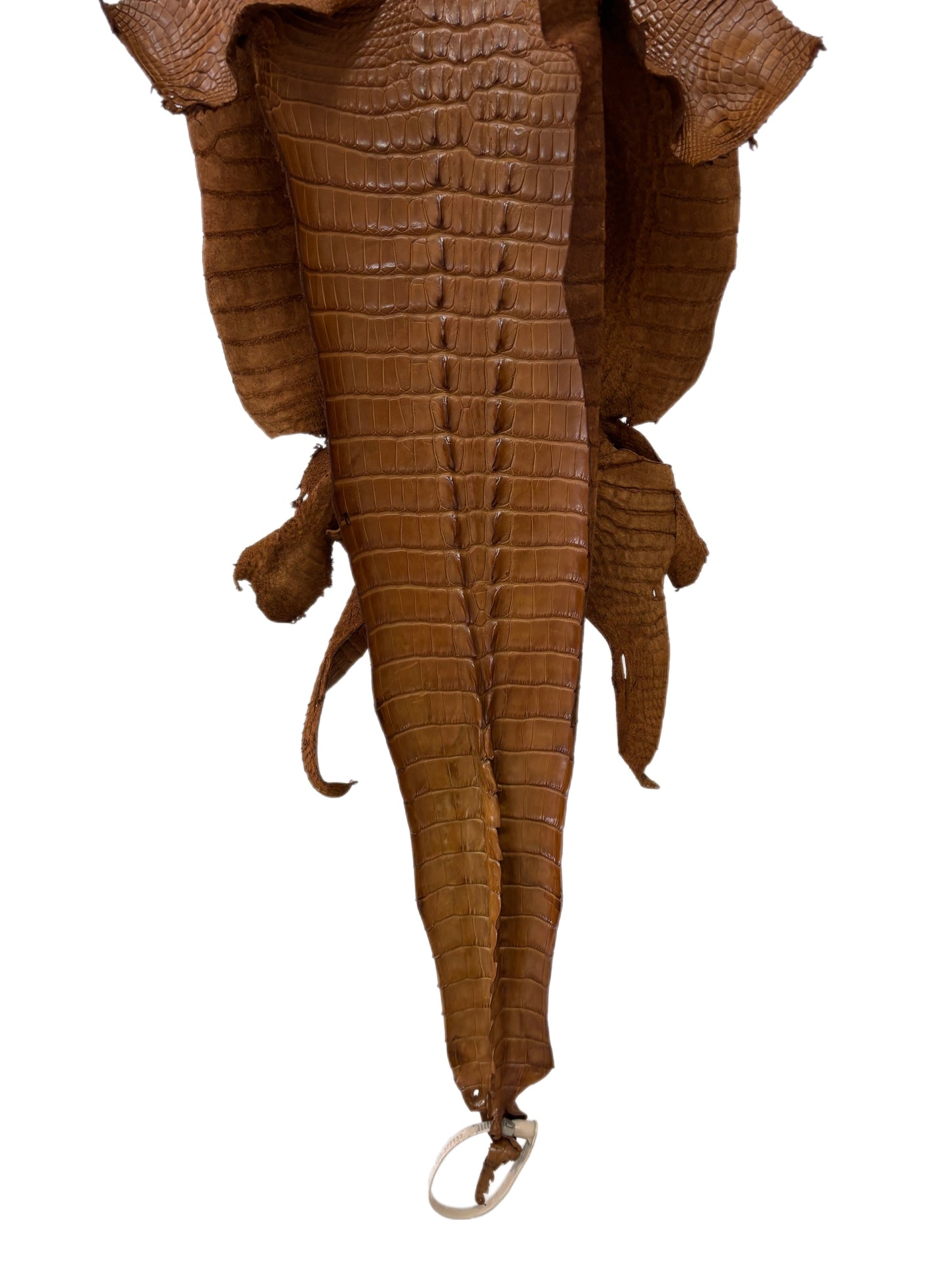 32 cm Grade 1/2 Kango Tabac Matte Farm-Raised American Alligator Leather - Tag: LA23-0377133