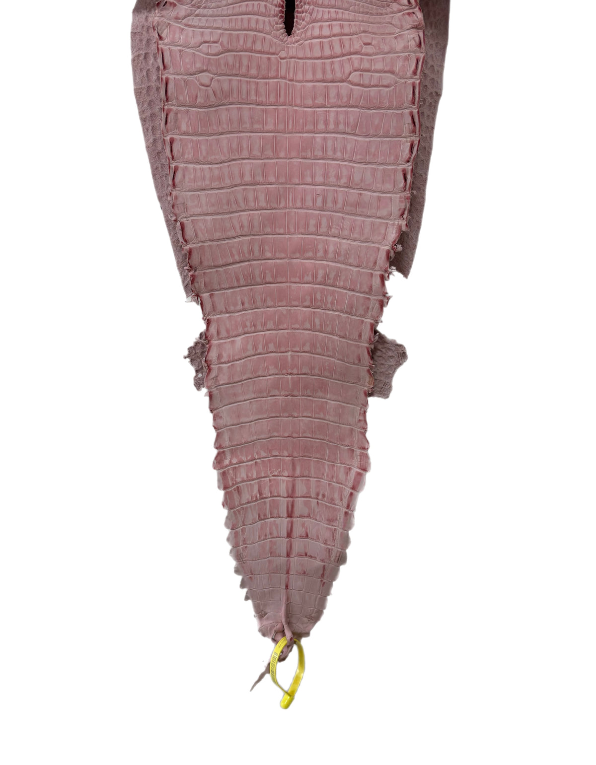 New Color and Finish! 28 cm Grade 1/2 Light Pink Nubuck Farm-Raised American Alligator Leather - Tag: FL22-0030234