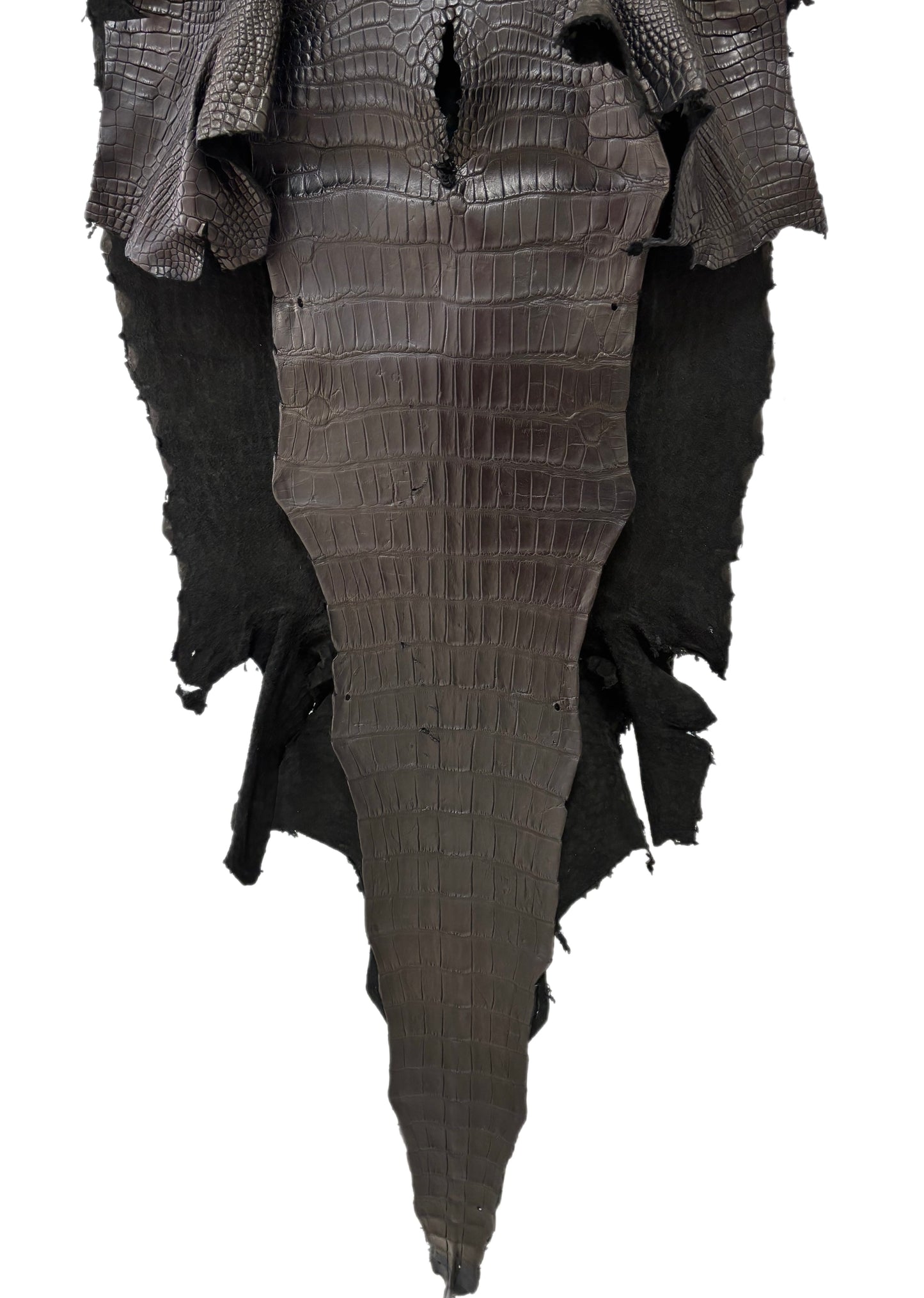 58 cm Grade 3/4 Black Matte Wild American Alligator Leather - Tag: LA23-0027743