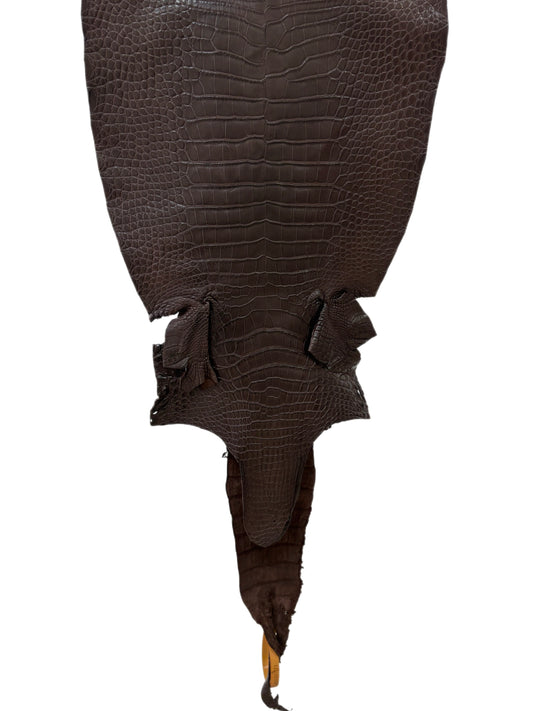 30 cm Grade 1/2 Chocolate Matte Farm-Raised American Alligator Leather - Tag: LA23-0531073