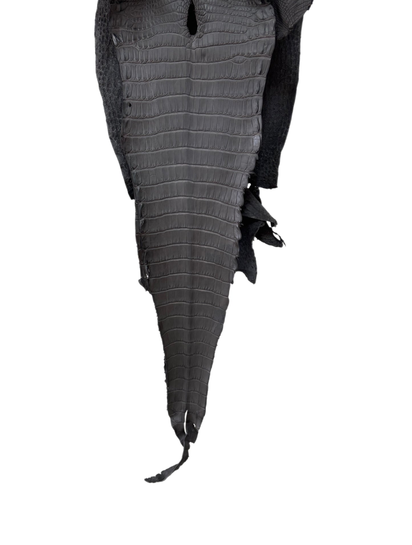 27 cm Grade 1/2 Serpentine Grey Matte Farm-Raised American Alligator Leather - Tag: LA17-0133849