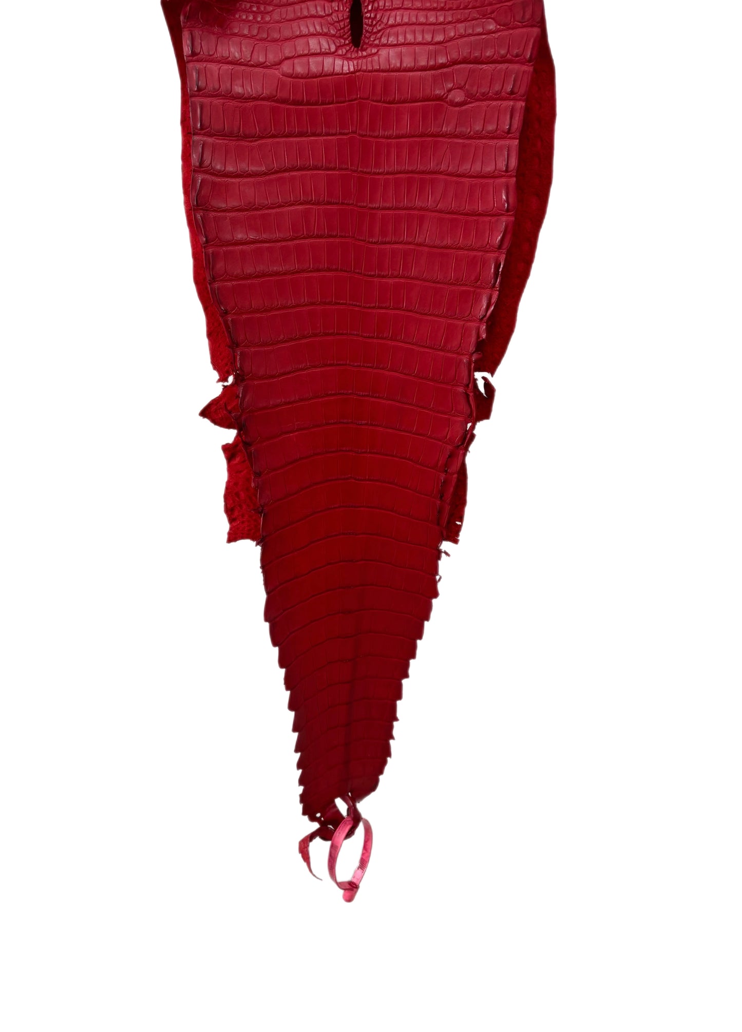25 cm Grade 1 Candy Apple Red Matte Farm-Raised American Alligator Leather - Tag: FL21-0025098