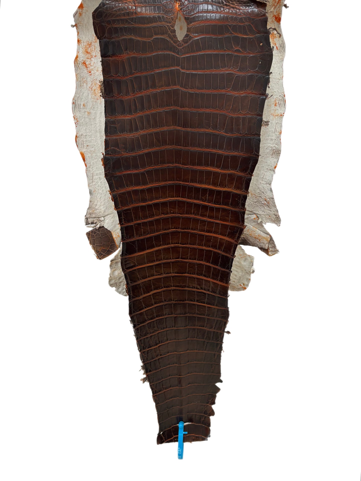 35 cm Grade 1/2 Sienna Matte Wild American Alligator Leather - Tag: ESRE-0033716