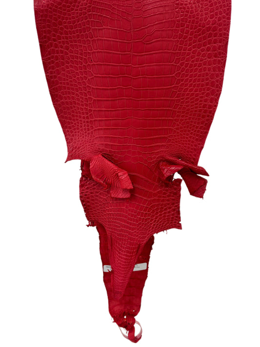31 cm Grade 2/3 Candy Apple Red Matte Farm-Raised American Alligator Leather - Tag: LA23-0531859