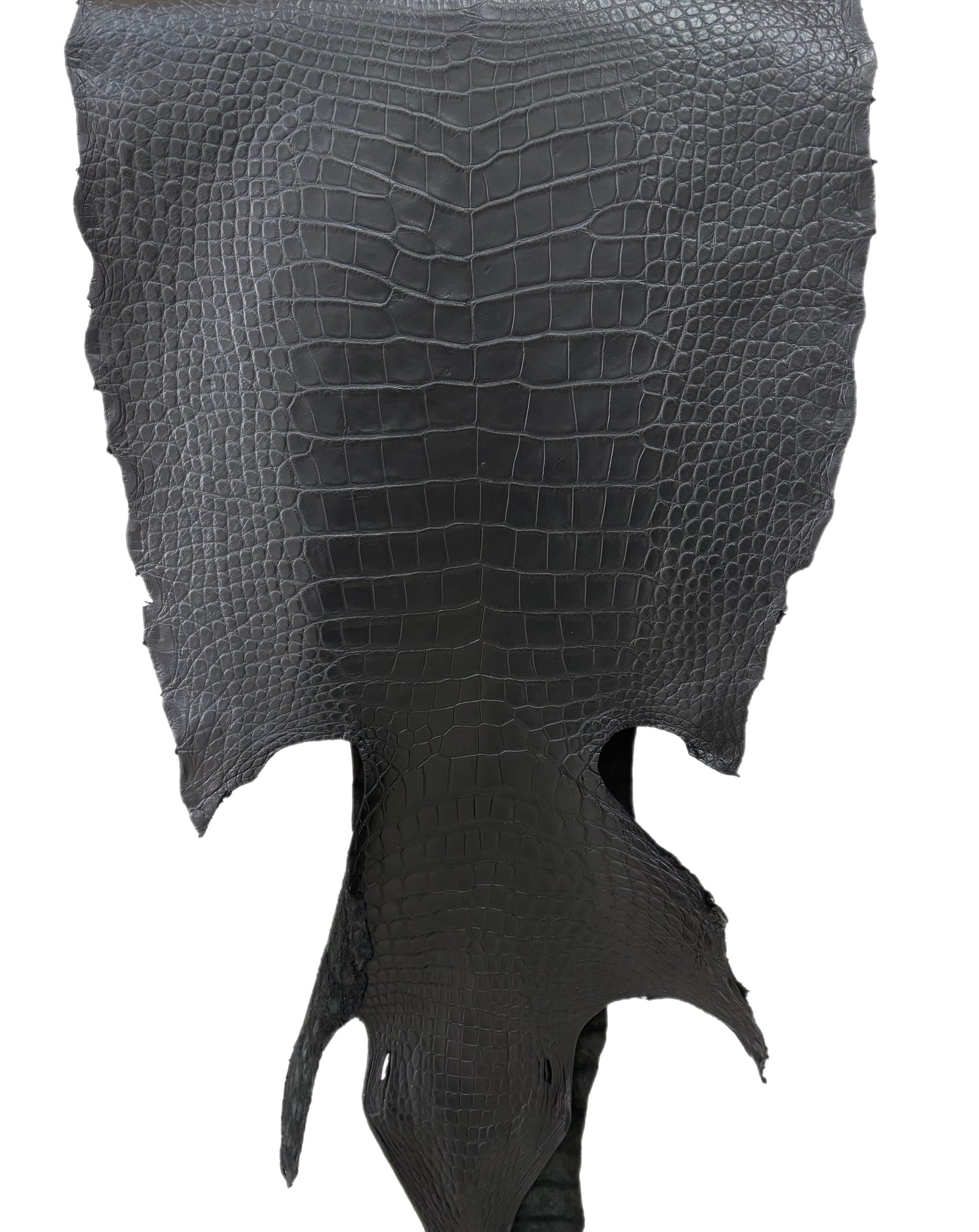 54 cm Grade 3/4 Black Matte Farm American Alligator Leather - Tag: LA23-0000550