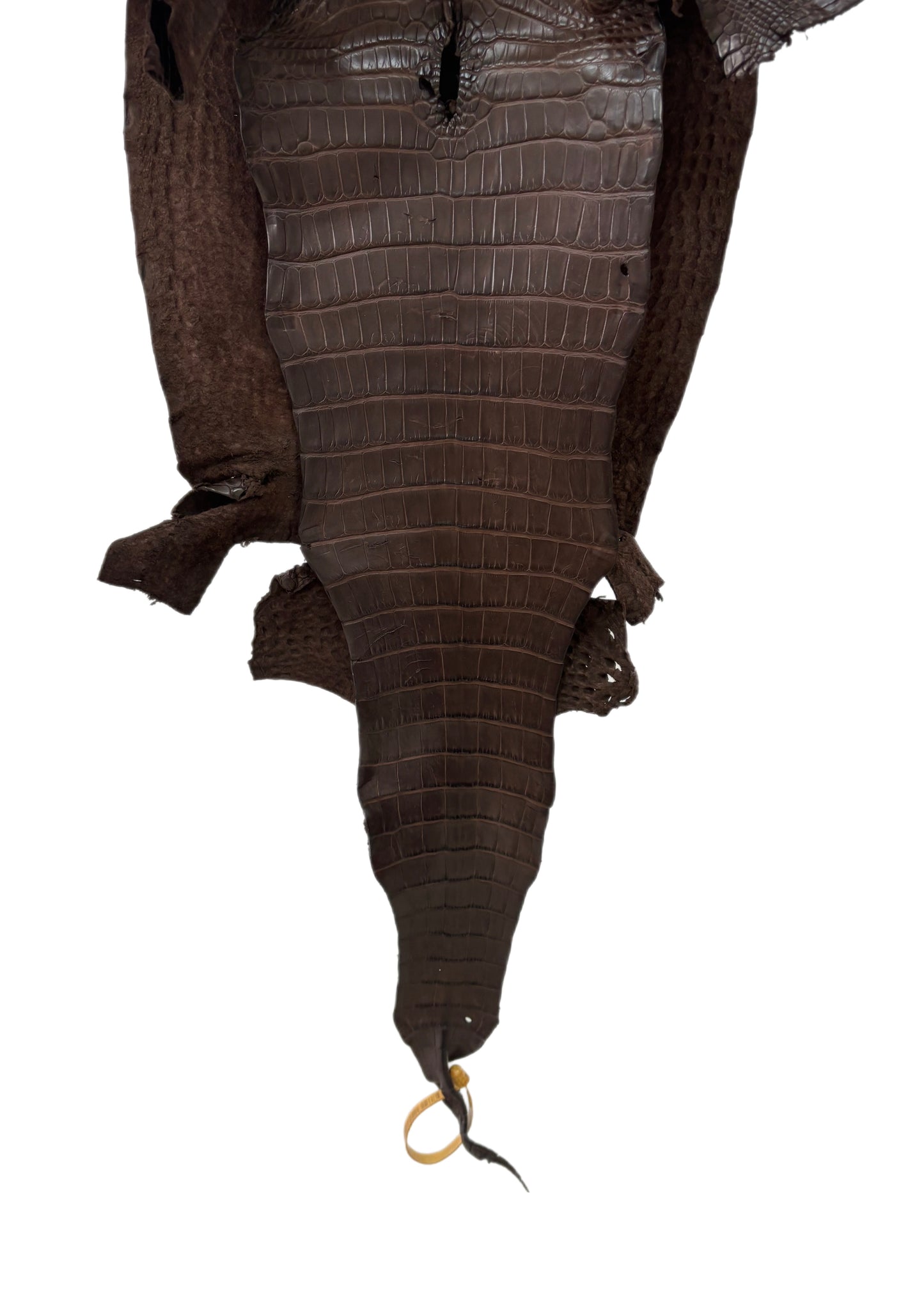 30 cm Grade 3/4 Chocolate Matte Farm-Raised American Alligator Leather - Tag: FL17-0036052