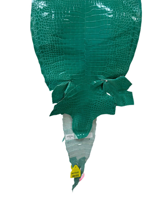 29 cm Grade 3/4 Tiffany Blue Glazed Wild American Alligator Leather - Tag: FL14-0003637