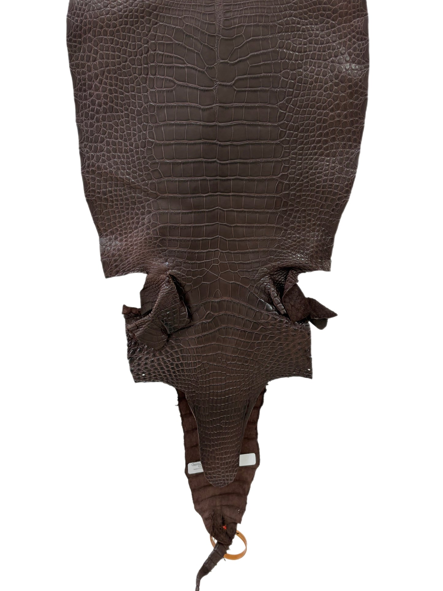 32 cm Grade 1/2 Chocolate Matte Farm-Raised American Alligator Leather - Tag: LA23-0531335