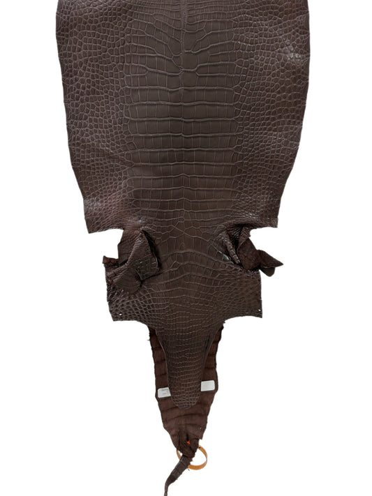 32 cm Grade 1/2 Chocolate Matte Farm-Raised American Alligator Leather - Tag: LA23-0531335