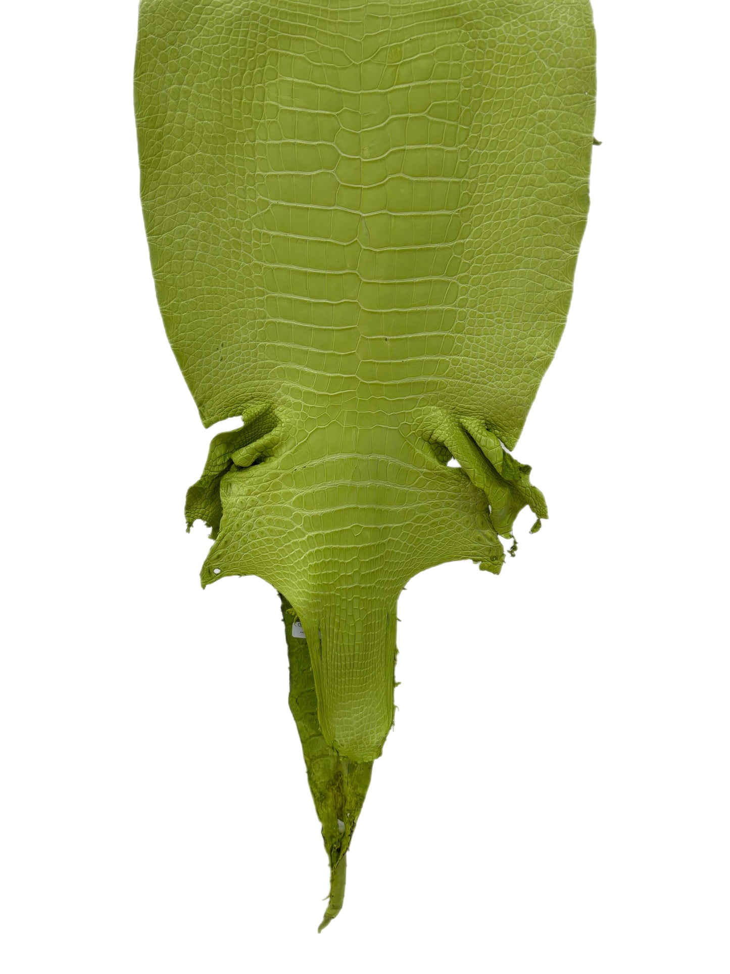 37 cm Grade 3/4 Chartreuse Matte Wild American Alligator Leather - Tag: LA23-0003429