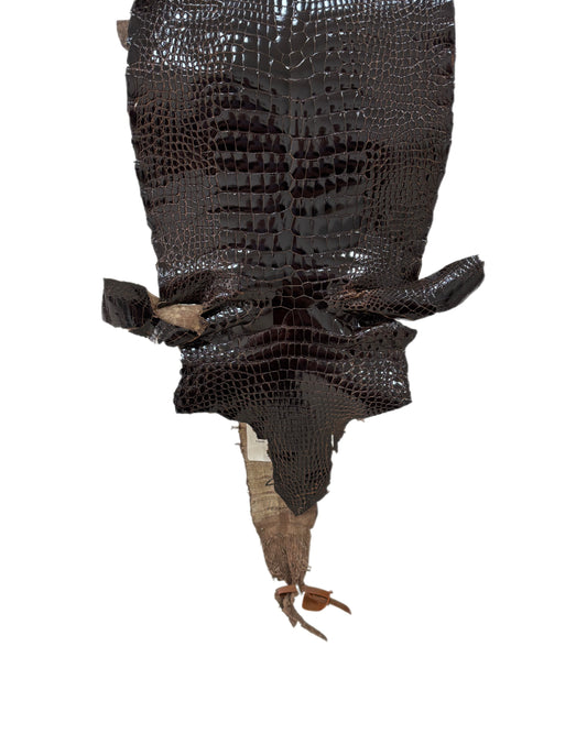 25 cm Grade 2/3 Sport Rust Brown Classic Wild American Alligator Leather - Tag: LA98-0026462