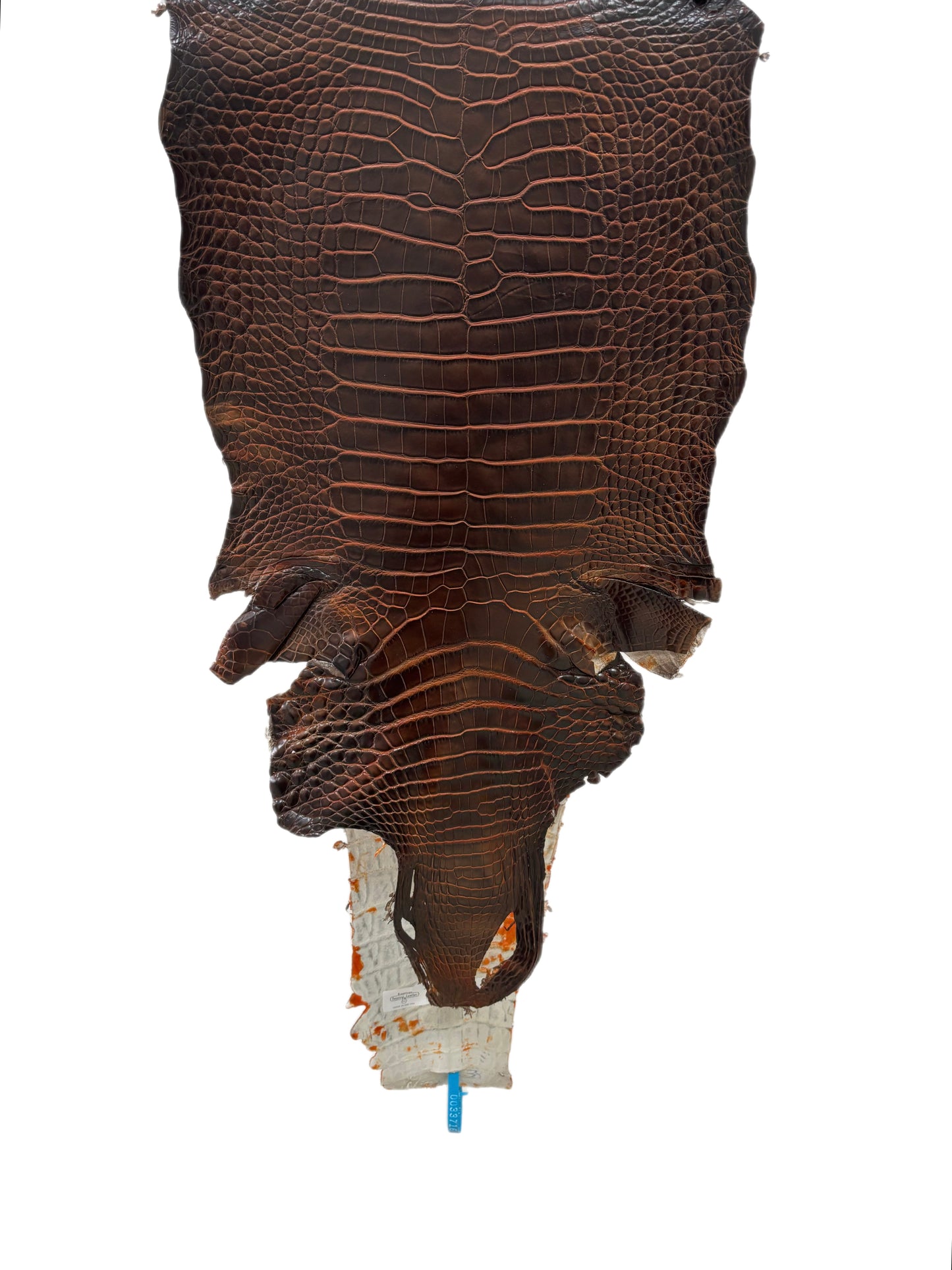 35 cm Grade 1/2 Sienna Matte Wild American Alligator Leather - Tag: ESRE-0033716