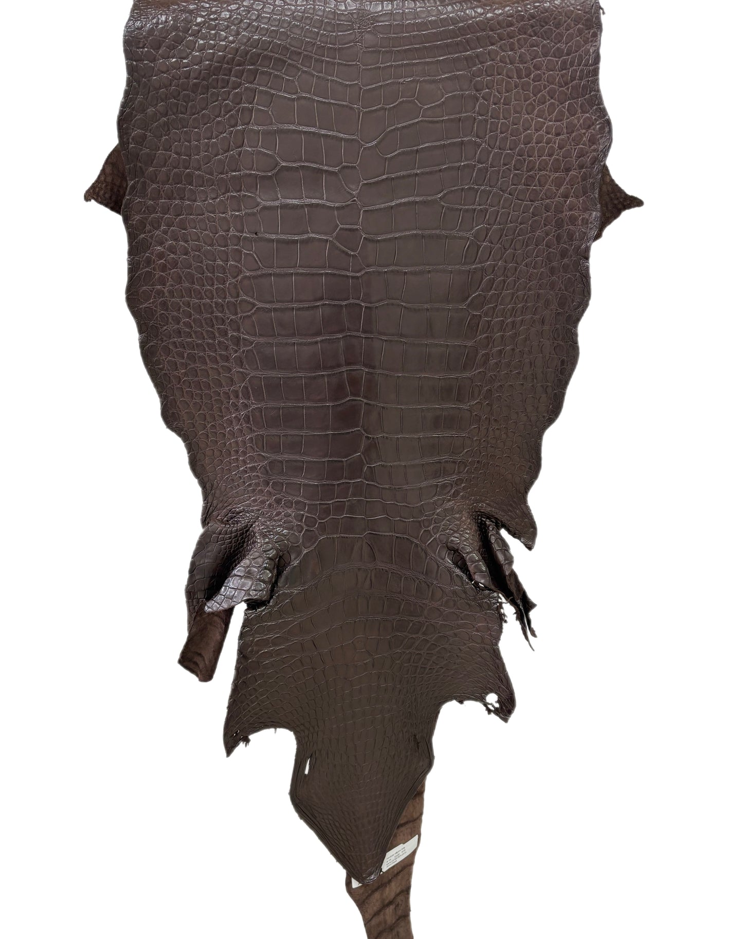 41 cm Grade 2/3 Kralle Brown Matte Wild American Alligator Leather - Tag: LA23-0004394