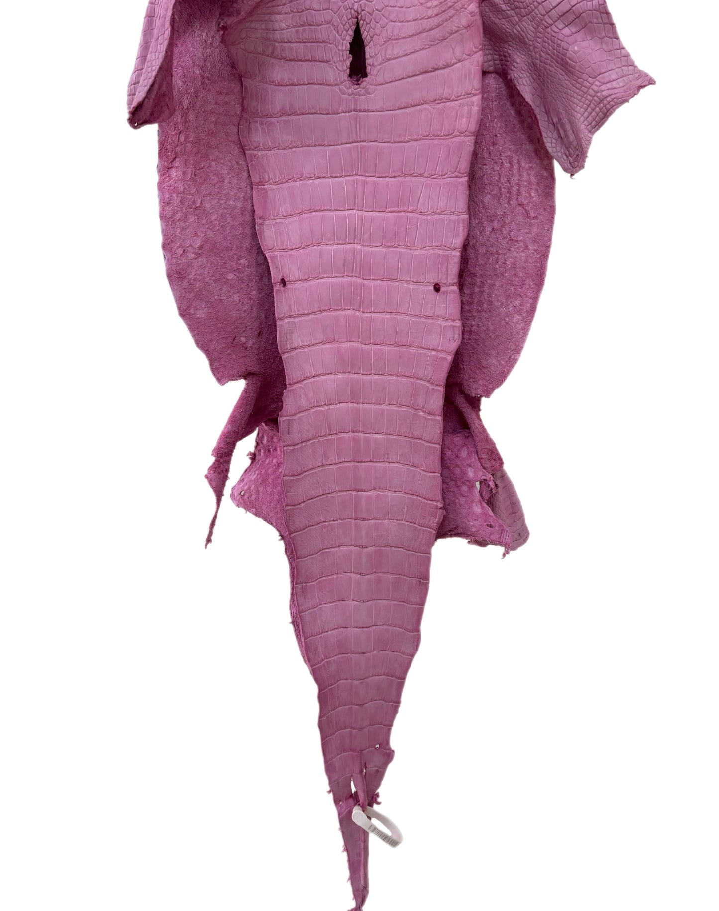 35 cm Grade 2/3 Cotton Candy Matte Wild American Alligator Leather - Tag: LA23-0027088