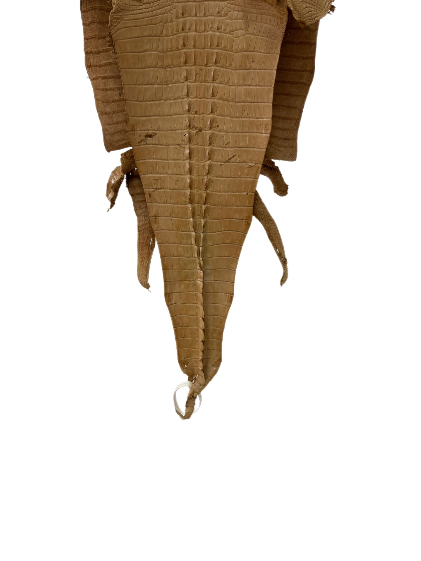 32 cm Grade 2/3 Antique Saddle Matte Farm-Raised American Alligator Hornback Leather - Tag: LA23-0377138