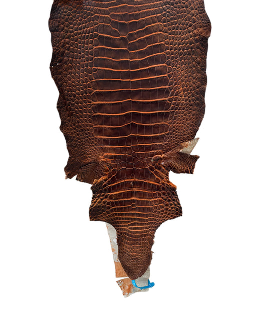 28 cm Grade 1/2 Sienna Matte Wild American Alligator Leather - Tag: ESRE-0050708