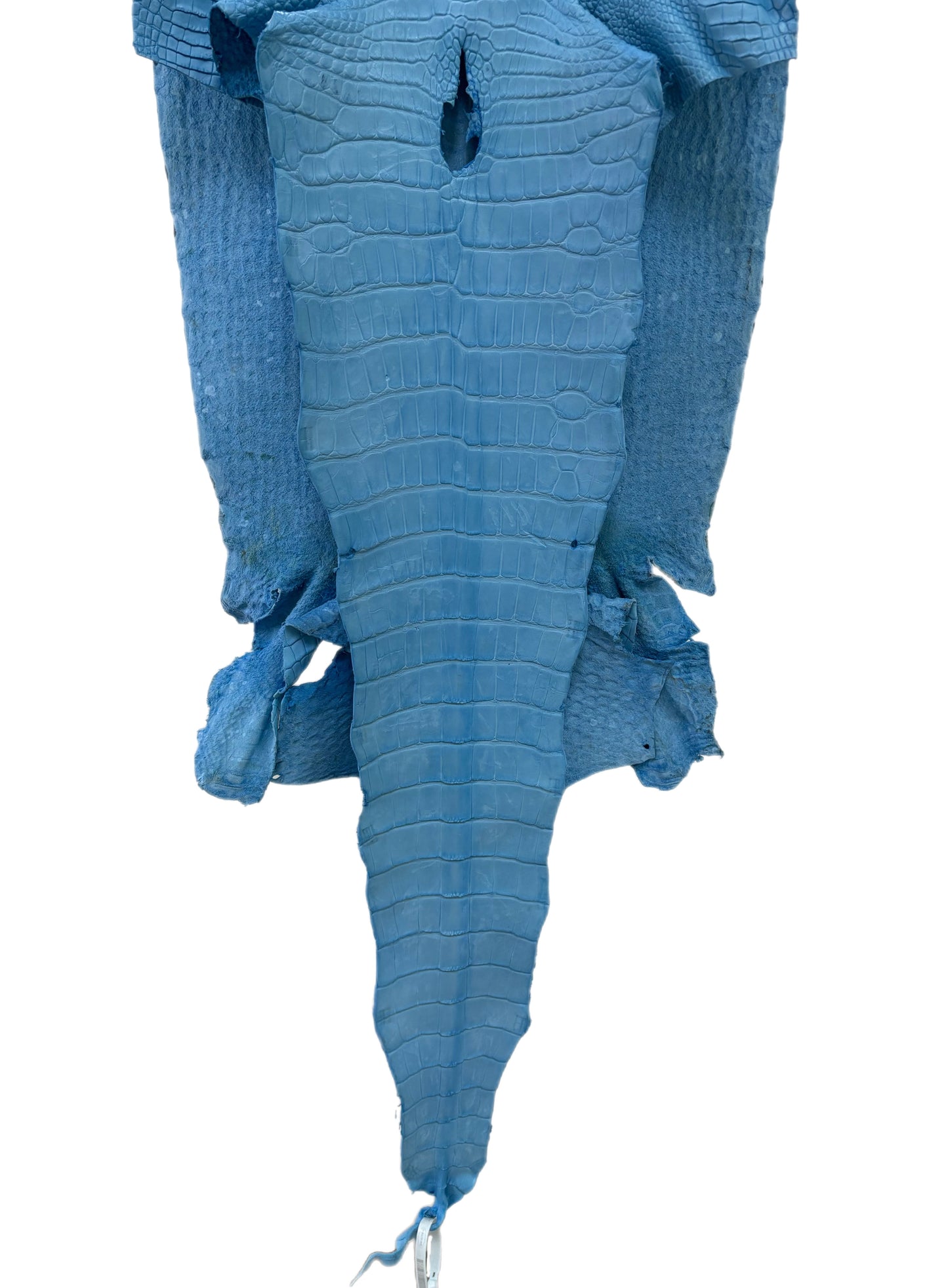 41 cm Grade 3/4 Sky Blue Matte Wild American Alligator Leather - Tag: LA23-0023860