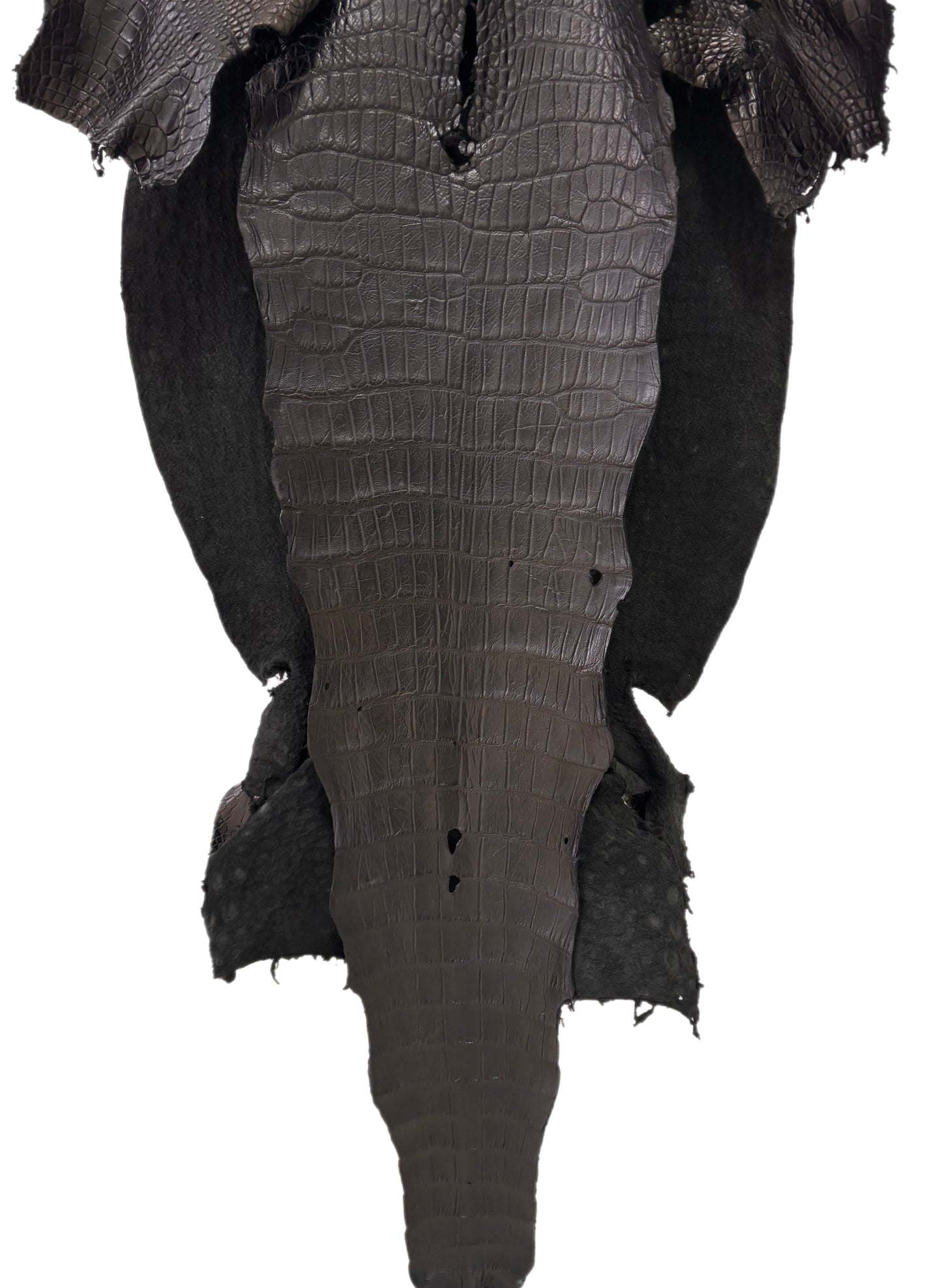 48 cm Grade 3/4 Black Matte Wild American Alligator Leather - Tag: LA23-0000522