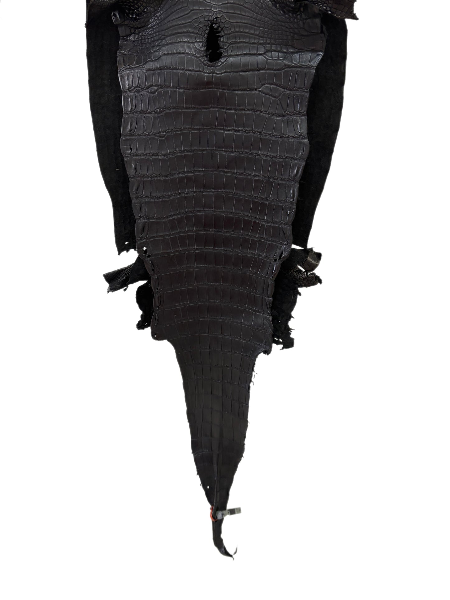 32 cm Grade 2/3 Black Matte Farm-Raised American Alligator Leather - Tag: LA23-0531307