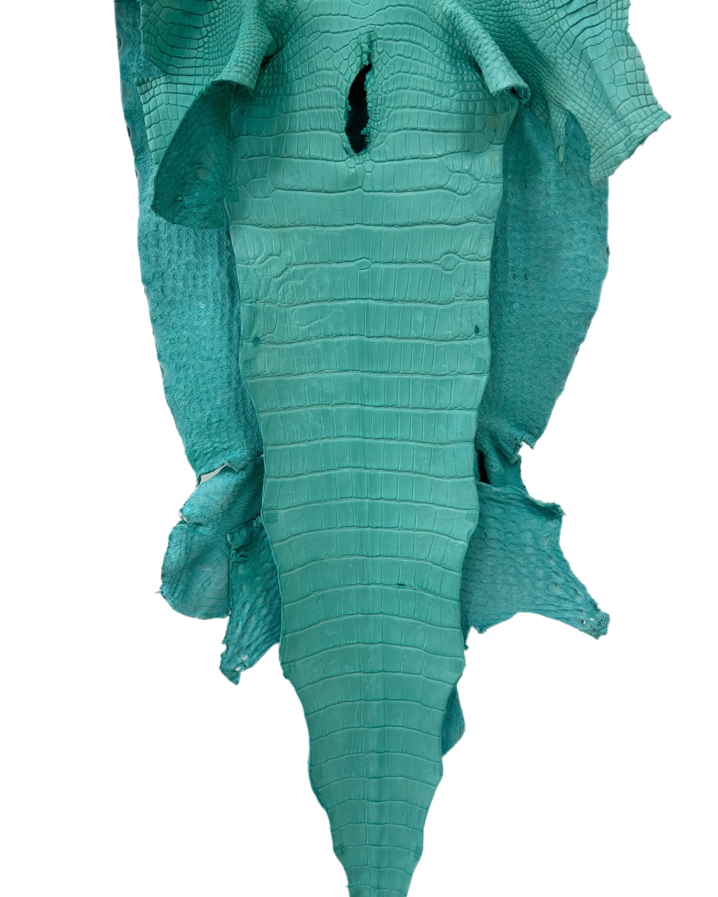 43 cm Grade 3/4 Seafoam Matte Wild American Alligator Leather - Tag: LA23-0015306