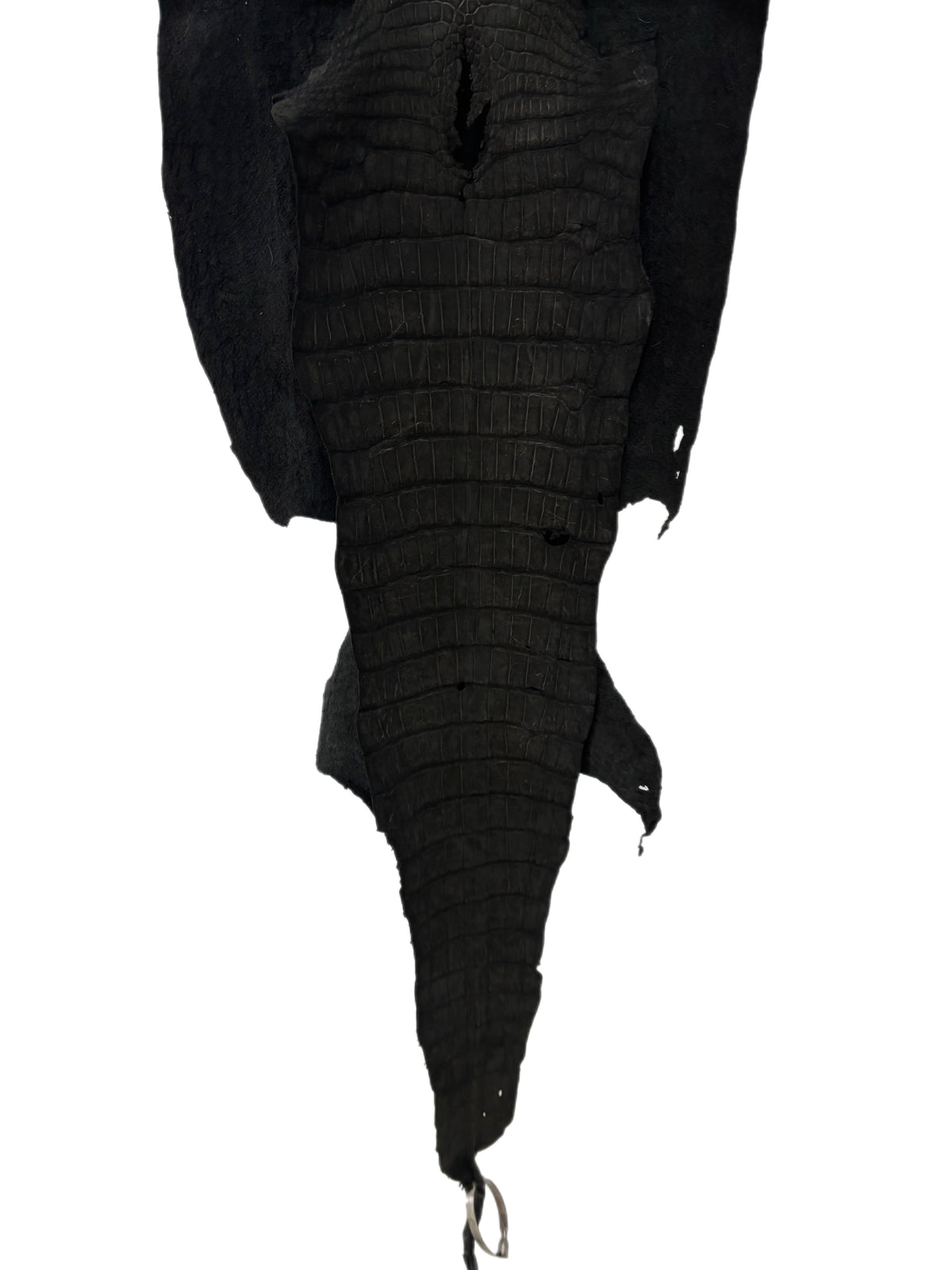 41 cm Grade 4/5 Black Nubuck Wild American Alligator Leather - Tag: LA23-0006904