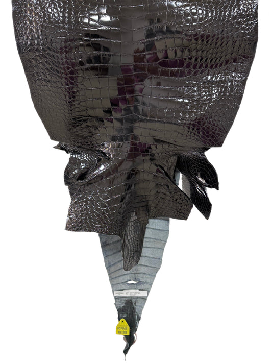 47 cm Grade 2/3 Black Glazed Farm-Raised American Alligator Leather - Tag: FL14-0003604