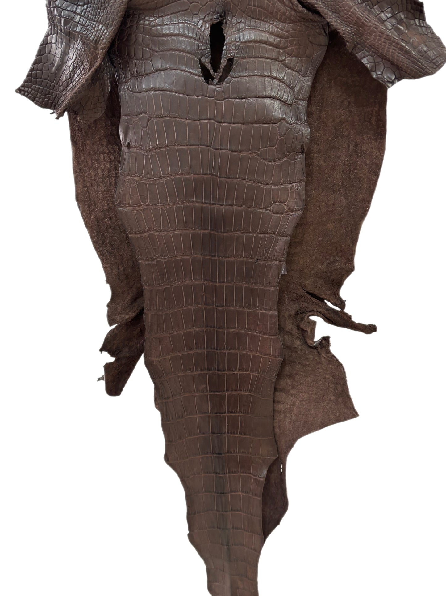 40 cm Grade 3/4 Chocolate Matte Wild American Alligator Leather - Tag: LA23-0017105