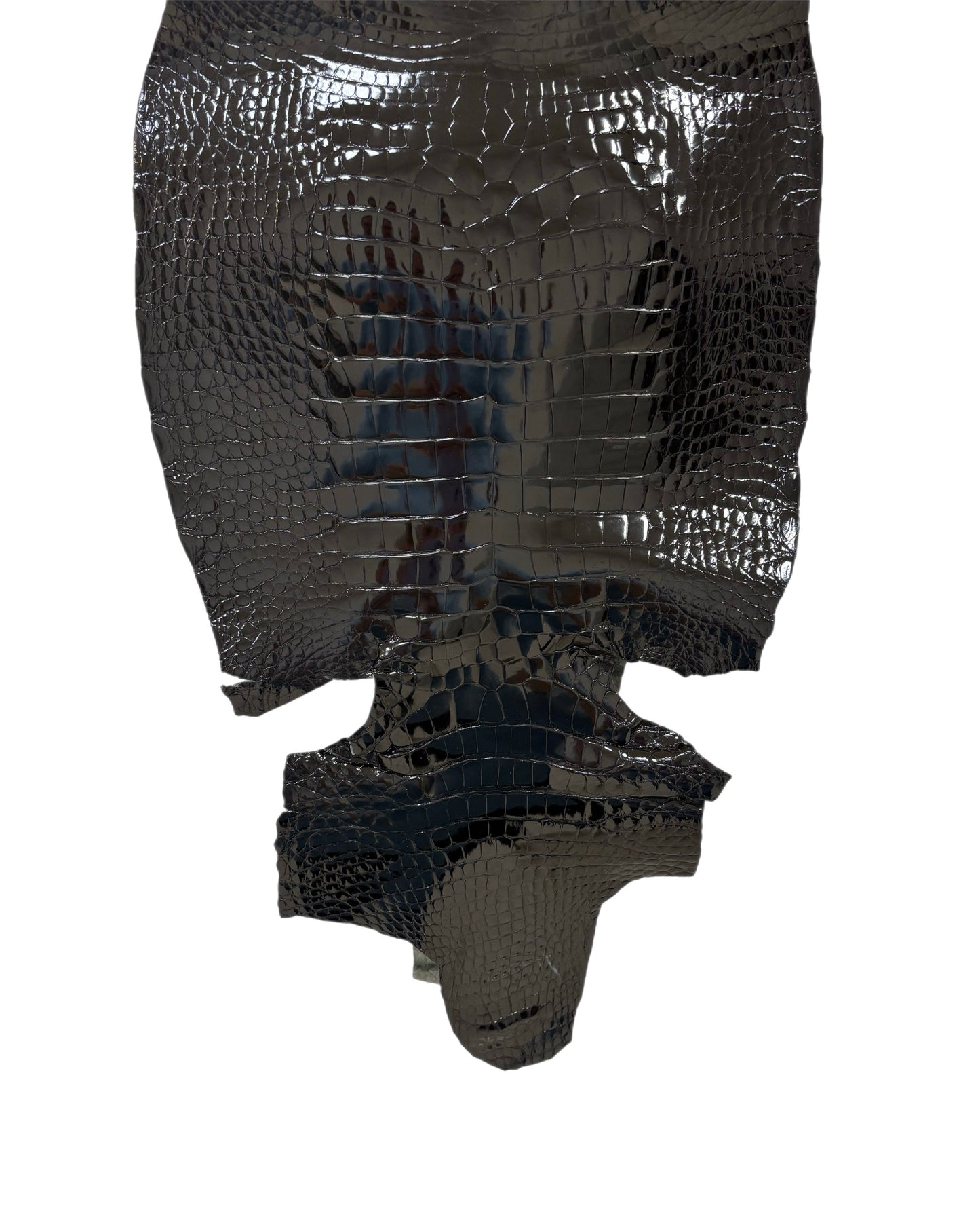 33 cm Grade 1/2 Black Glazed Wild American Alligator Leather - Tag: ITCC-0539900