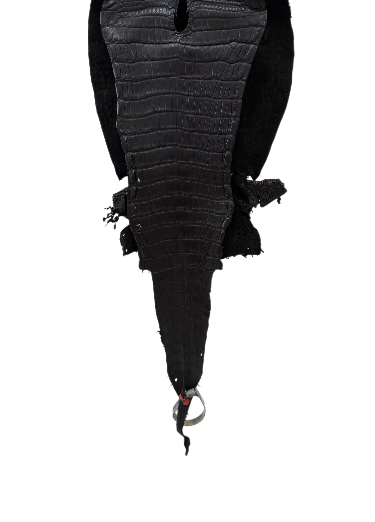 23 cm Grade 2/3 Black Matte Farm-Raised American Alligator Leather - Tag: LA23-0531432