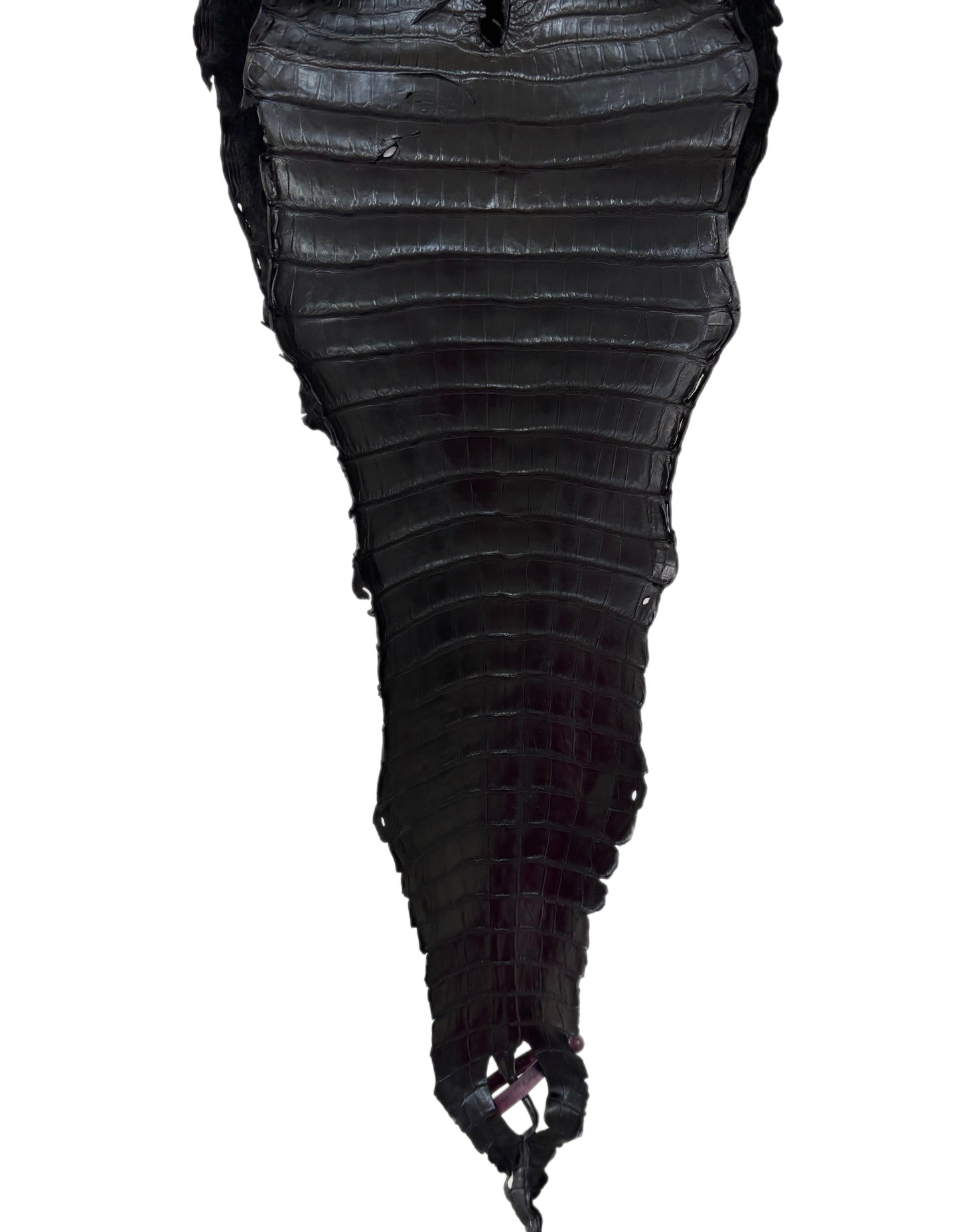 26 cm Grade 3/4 Black Matte (Stiff Finish) Farm-Raised American Alligator Leather - Tag: FL21-0024923