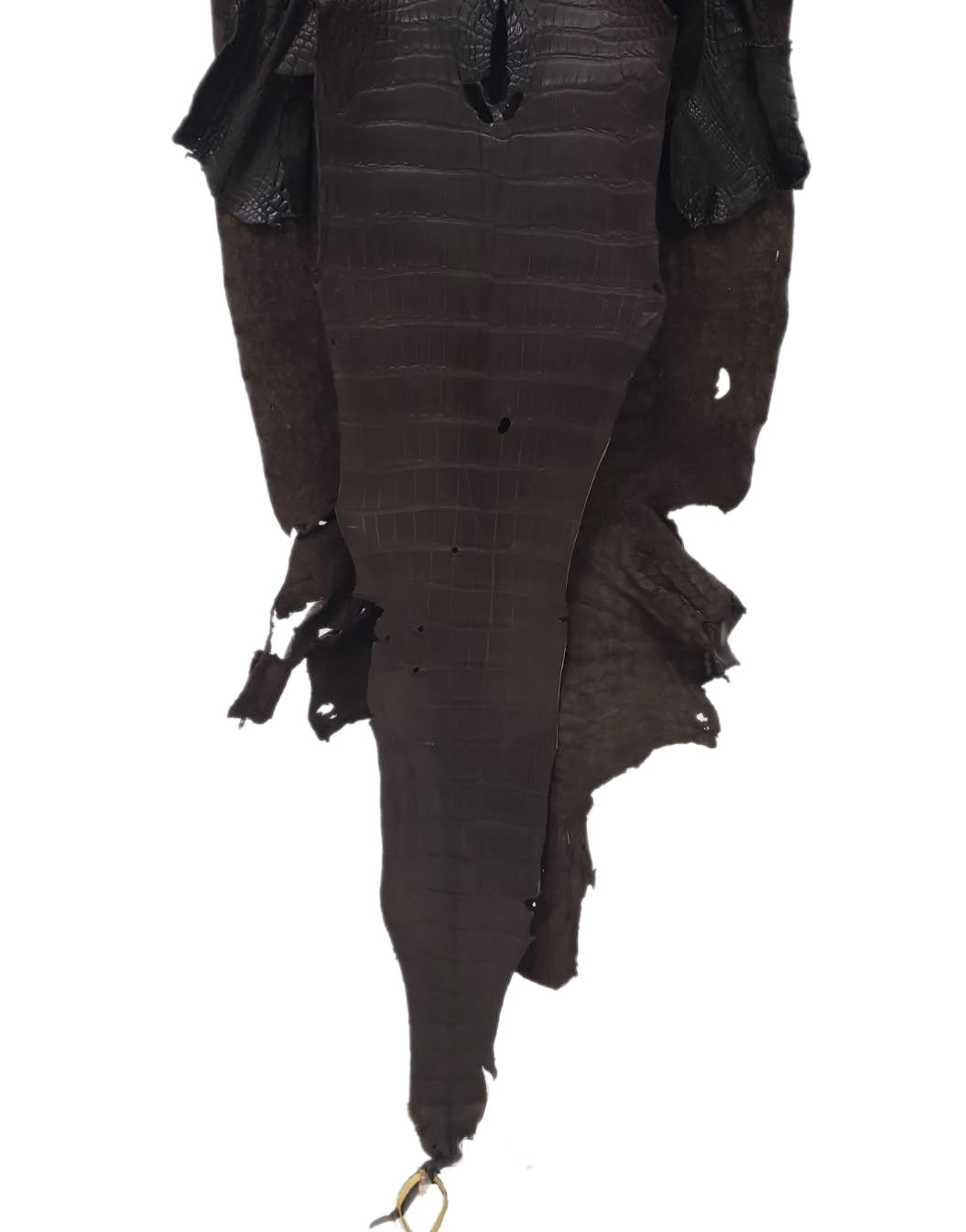 44 cm Grade 3/4 Chocolate Matte Wild American Alligator Leather - Tag: LA23-0022843