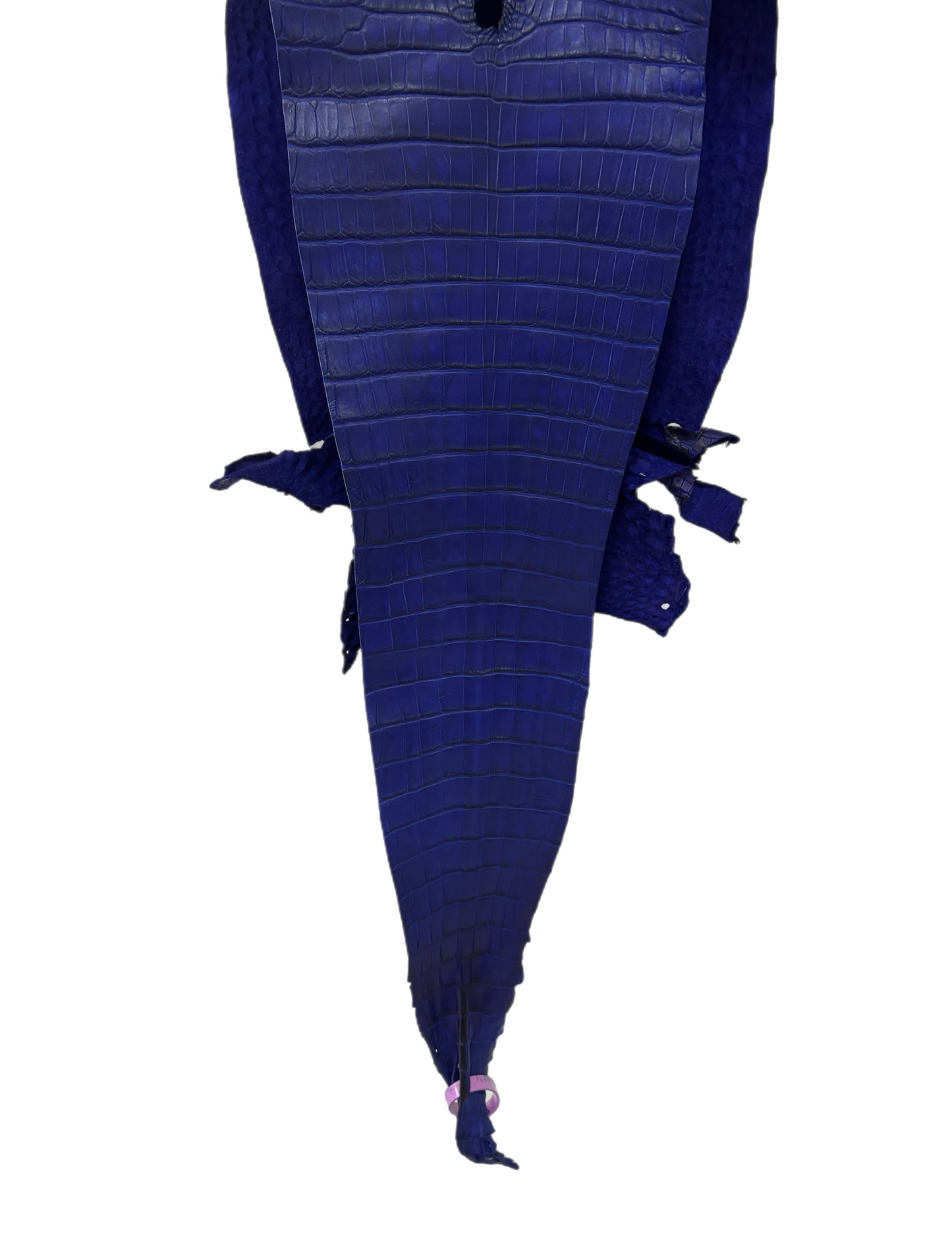 28 cm Grade 3/4 Cobalt Blue Matte Farm-Raised American Alligator Leather - Tag: FL21-0024451