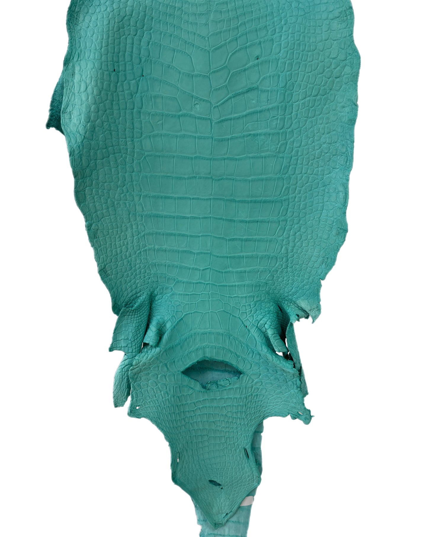 37 cm Grade 3/4 Seafoam Matte Wild American Alligator Leather - Tag: LA23-0002066