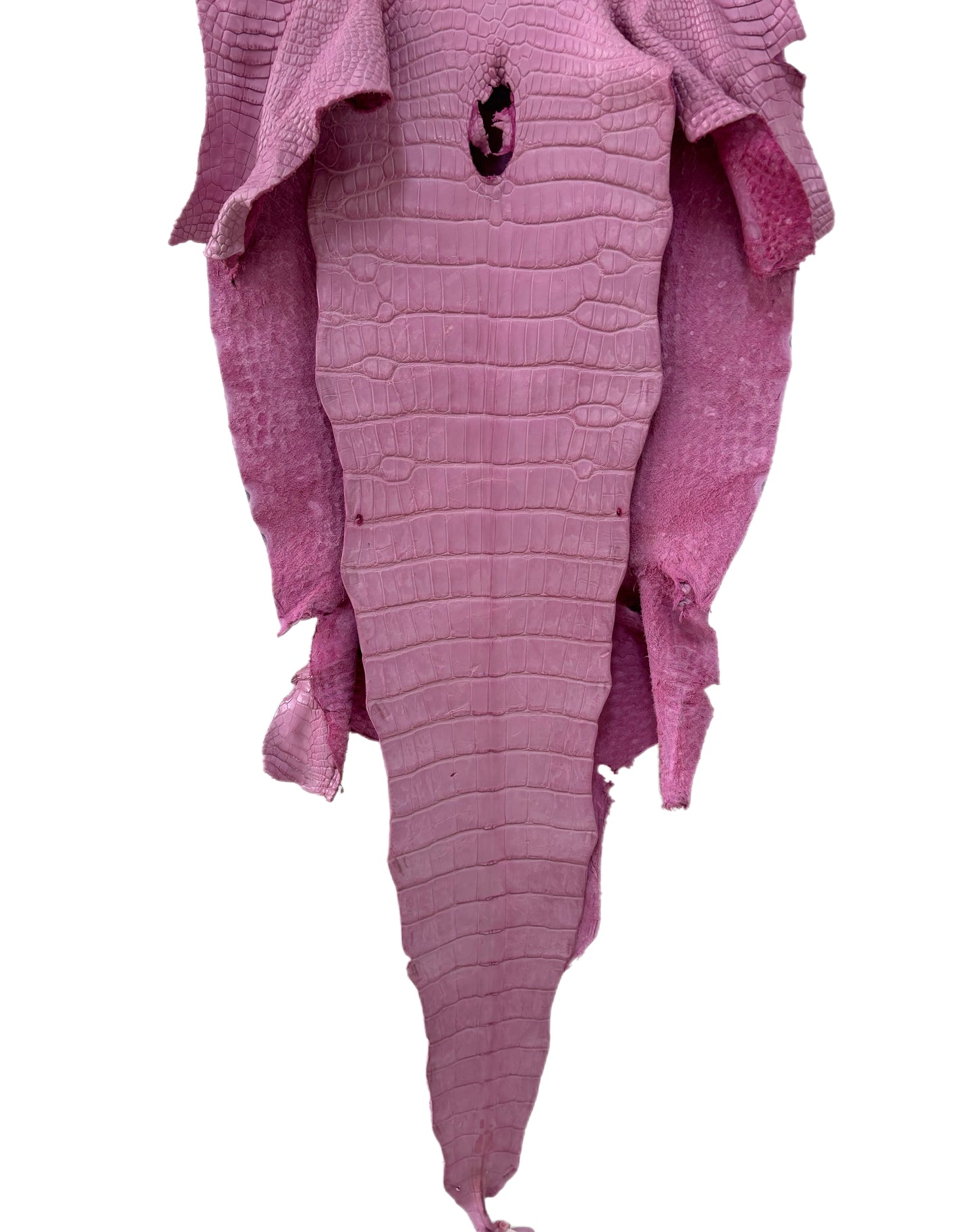 40 cm Grade 2/3 Cotton Candy Matte Wild American Alligator Leather - Tag: LA23-0033803